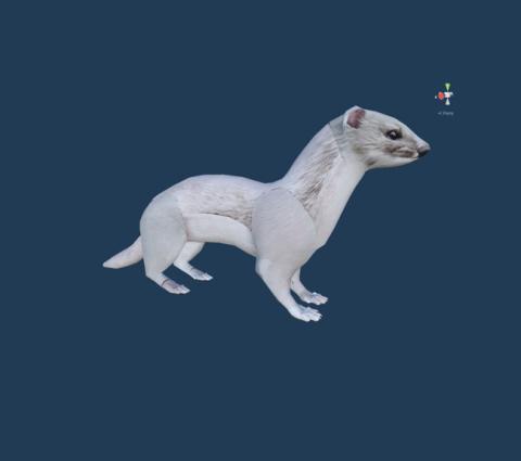 Створення 3D-об'єктів і анімацій